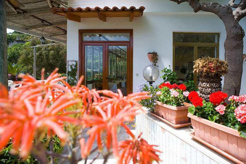 Hotel Villa Franz Sant'Angelo (Isola d'Ischia) Exterior foto